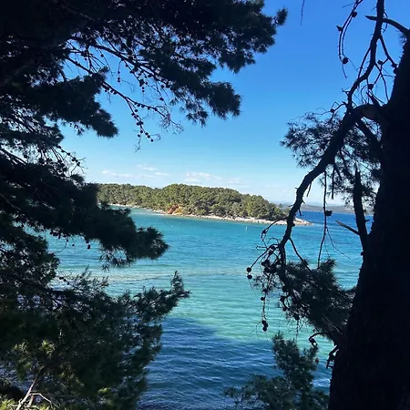 Si Ace Village Twins With Pool, Pakostane, Croatia, Region Zadar Park za odmor *